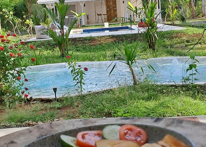 Hotel The Palms Penida 3*
